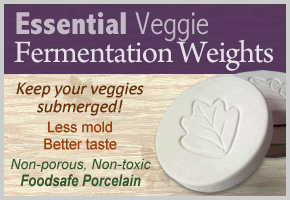 Essential Veggie Fermentation Weights